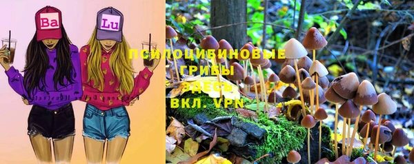 бутират Белокуриха