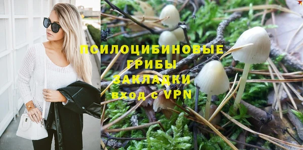 бутират Белокуриха
