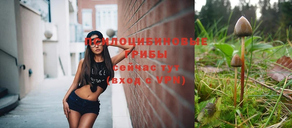 хмурый Белоозёрский